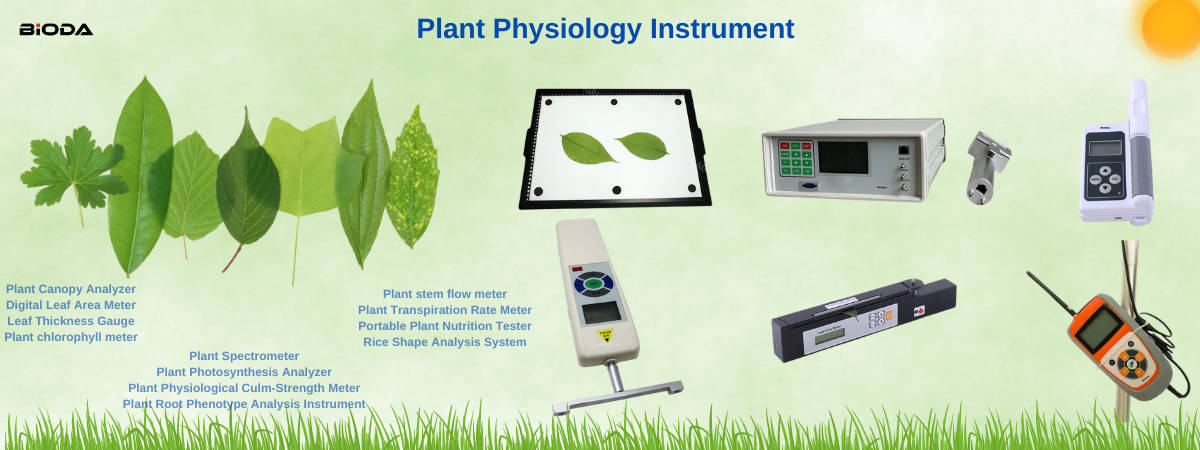 Plant Physiology.png