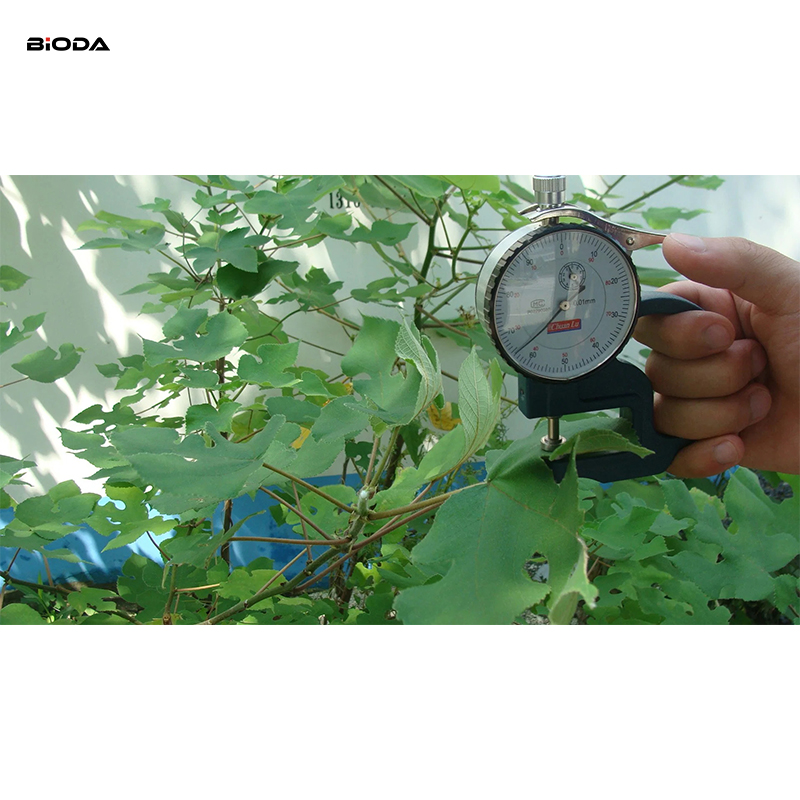 Leaf Thickness Gauge YH-1