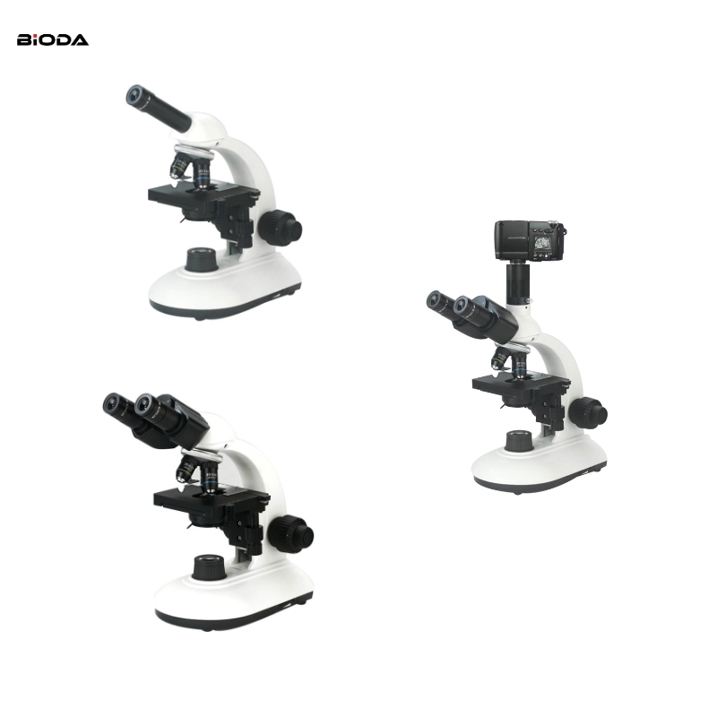 B Series Biological Microscope