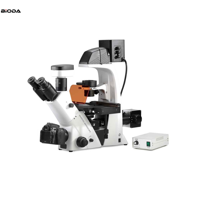 BDS500 Inverted Biological Microscope